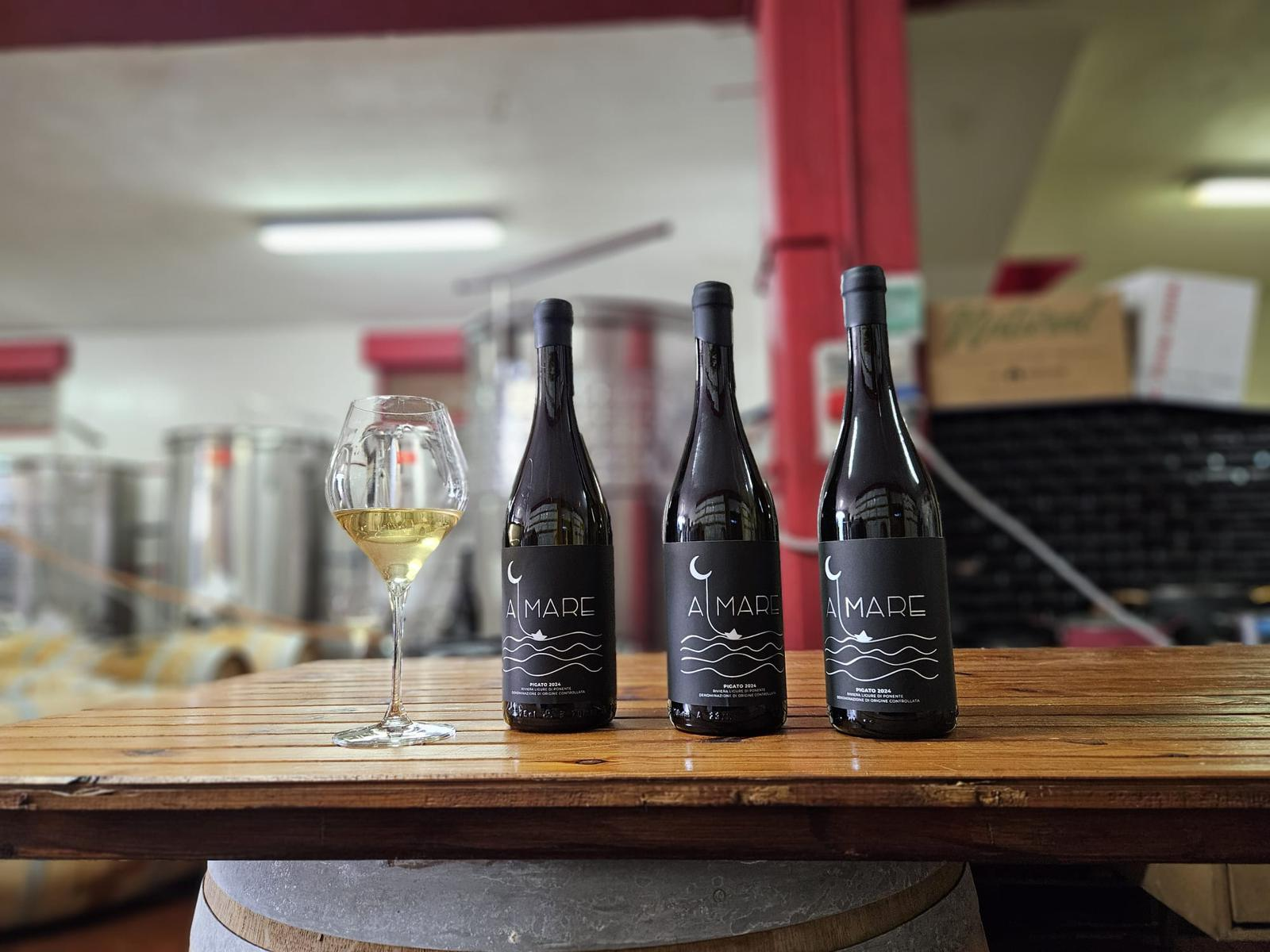 AlMare - Pigato DOC - 1